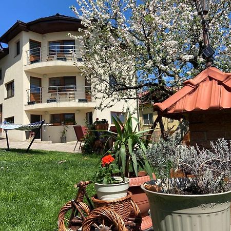 Casa Ana Cluj 아파트 외부 사진