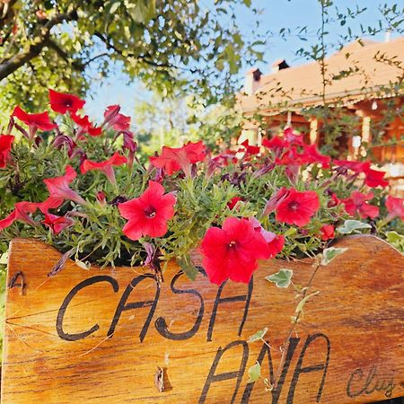 Casa Ana Cluj 아파트 외부 사진