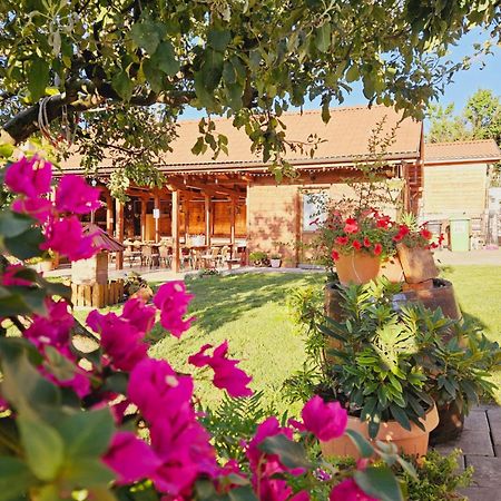 Casa Ana Cluj 아파트 외부 사진