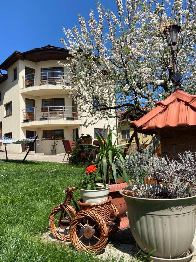 Casa Ana Cluj 아파트 외부 사진